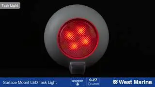 8-LED White/Red Dome Light