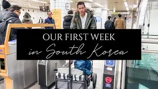 First Week In Seoul!