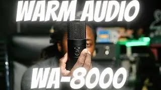 Warm Audio WA-8000 VS Neve Shelford VS Neumannv402 VS Bae 1073 VS Carbon Preamp