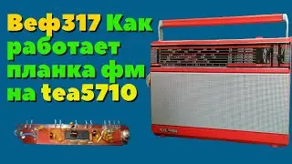 #Веф317