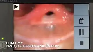 Вопрос для специалистов