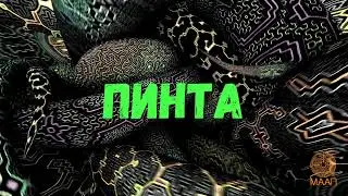Каролина Фореро "Пинта, священные видения джунглей