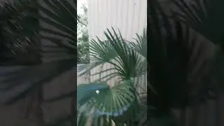 Узкие улочки Гурзуфа.
@tane4ka2022