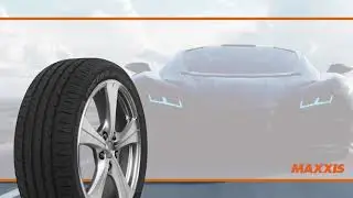 MAXXIS M36+ MRS Run Flat Tyres