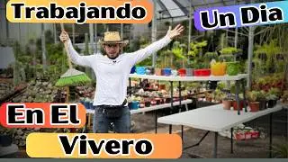 Un Día Pesado Trabajando En Mi Vivero || Huerto Citadino
