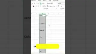 FILL THE BLANCK CELL IN EXCEL WITH SAME TEXT
