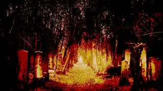 Ambient Graveyard Noise (1 HOUR)