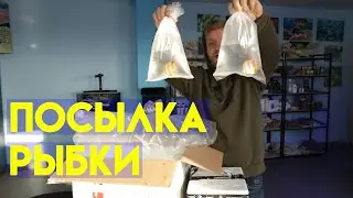 посылка с рыбками для морского аквариума | аквариумные рыбки | морской аквариум