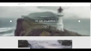 Адаптивный сайт, который написан на html/css  и перенесен на WordPress