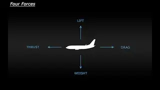 Four Forces Acting on a Plane