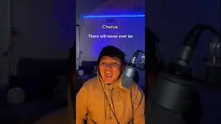 oh my god this voice