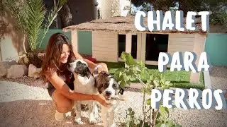 Nuestra NUEVA CASA 🐶🐶 Caseta para Perros - Parte 1(( DECORANDO una MANSIÓN))