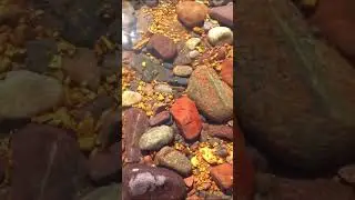 Treasure River №1