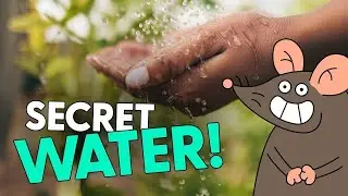 The Secret Life of Water!