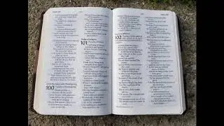 Let's Read the Psalms Again! Psalm 102 -Prayer in Affliction (TLV)