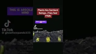 science behind plant intelligence #tiktok #amazing #tips #information #plants #garden #viral #video
