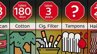 Comparison: Time It Takes To Decompose These Garbage