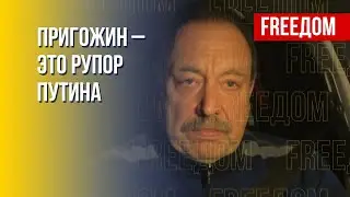 Гудков: Элиты для Путина в РФ – это дойная корова
