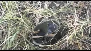 Освободители / Фильм 8. 