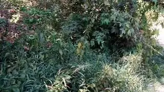 ПОЕЗДКА НА РОДНИК В ДЕРЕВНЮ САЛТЫКИ/ЗАМЕЧАТЕЛЬНАЯ ПРИРОДА, ПОГОДА, РЕЧКА И РОДНИК!
