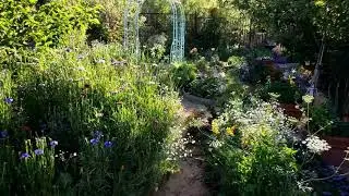 In my secret wildflower garden