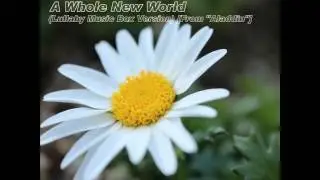 A Whole New World (Lullaby Music Box Version) [From 