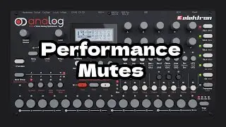 Elektron Analog 4 -  Performance Mutes