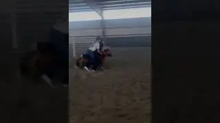 Horse girls thrown off