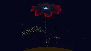 Лунный Цветок (Animation 2D )