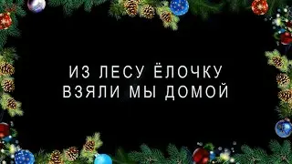 2019 год. Из лесу ёлочку взяли мы домой.