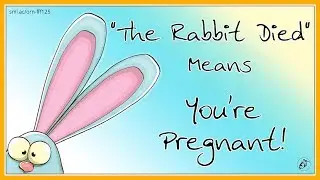 The Rabbit Died!  50+ Terms for Pregnancy | FFF 125
