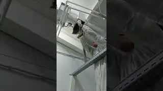 Видеоинспекция на заводе шоковой заморозке овощей до очистки систем вентиляции №2.