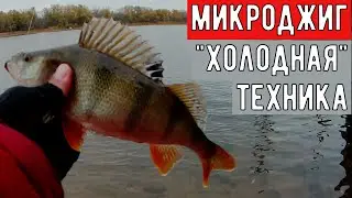 Микроджиг поздней осенью/особенности и техника ловли