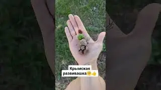 Крымская развивашка для ребёнка👍🤗 #блогер #мама #дети #развитие