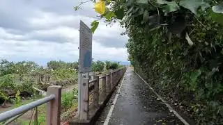 осматриваю последствия тайфуна