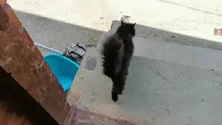 Сочи. Горное Лоо. Вечер. +28°C. 23. 06.2023г.©