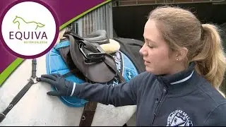 Springreiten - Die Ausrüstung für das Pferd
