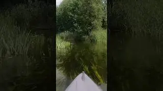 С прозрачным дном