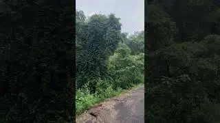 Swarna Jayanti Park Bhopal | Best Park In Bhopal For Walking