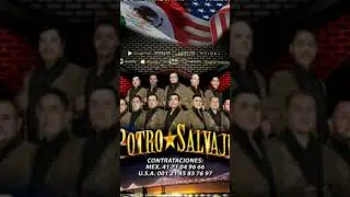 Cariño @olmedoproductions6273 #music #sentimentos