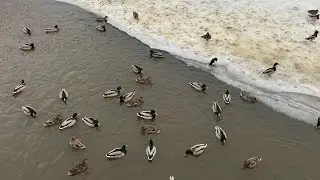 26.02.2021. Погода в Москве в феврале. Смотри на Чёрное море каждый день.