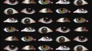 Body Horror Animation Test