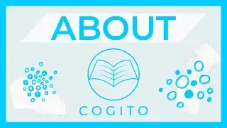 About Cogito Education
