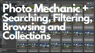 Master Photo Mechanic Plus: Ultimate Guide to Search, Filter, Browse, and Collections Features