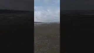 Николаев. Шторм 24.02.2020
