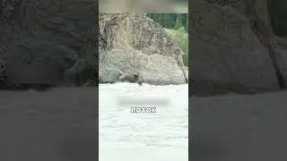 Чудесное СПАСЕНИЕ из ледника 😲❄️🐎