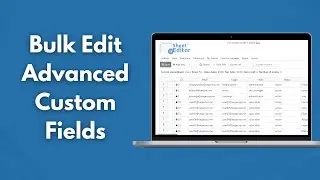 WordPress - Bulk Edit Advanced Custom Fields in a Spreadsheet