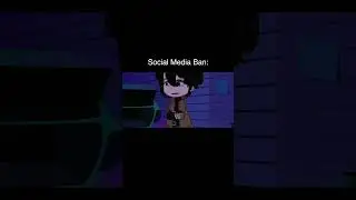 Social Media Ban