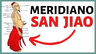 🔥 Meridiano SAN JIAO o TRIPLE RECALENTADOR 🔥 Recorrido, Función y MÁS ☯ 12 Meridianos de Acupuntura☯