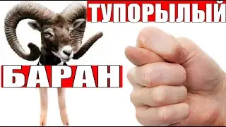 ✅ ТУПОРЫЛЫЙ БАРАН НАДОЕЛ СВОЛОЧУГА мошенники звонят по телефону